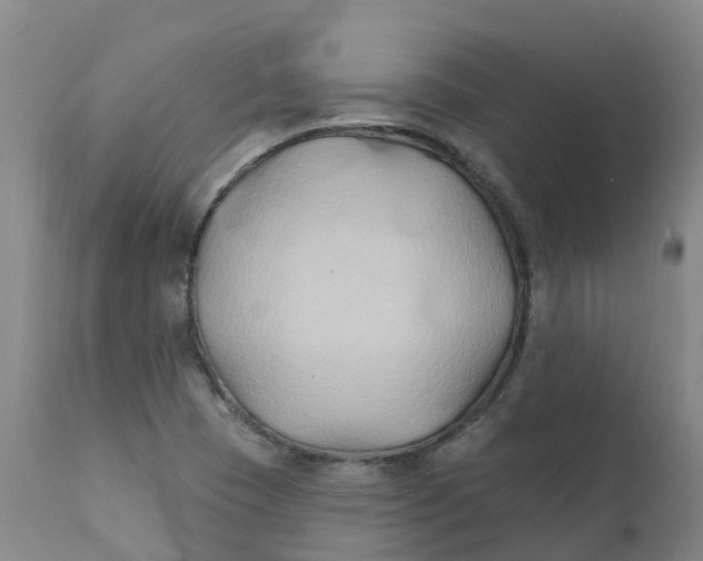 X0000111821409200908131512