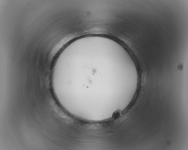 X0000111821410200908131512