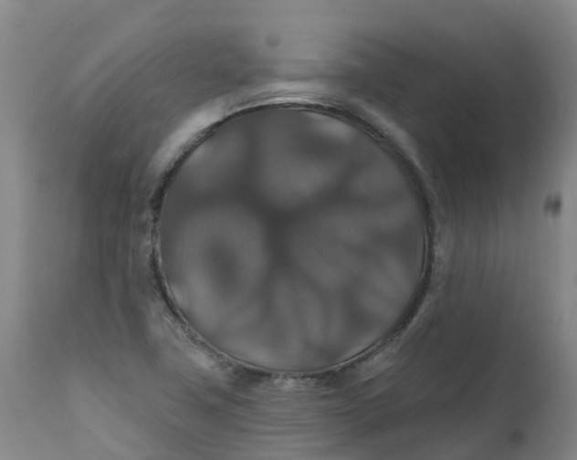 X0000111821411200908131512