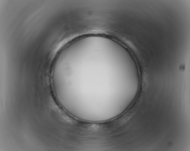 X0000111821412200908131512