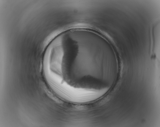 X0000111821413200908131512