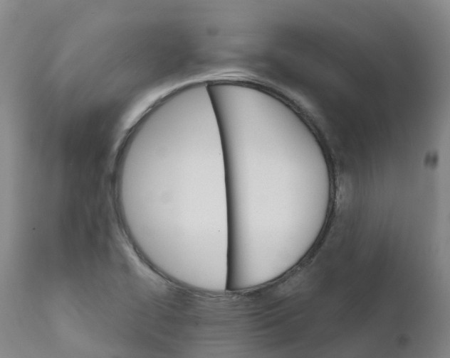 X0000111821414200908131512