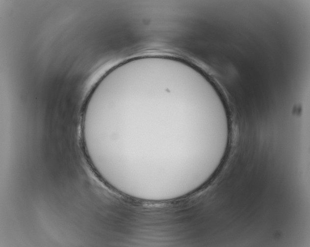 X0000111821415200908131512