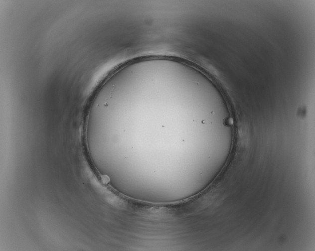 X0000111821416200908131512