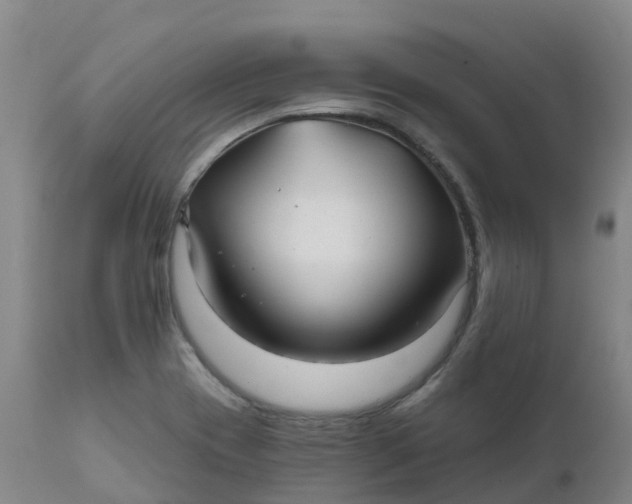 X0000111821417200908131512