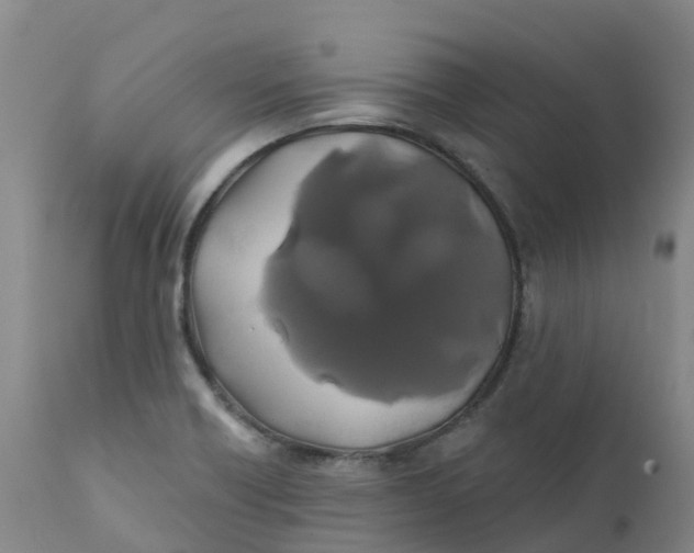 X0000111821418200908131512