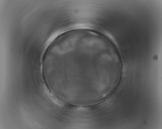 X0000111821419200908131512