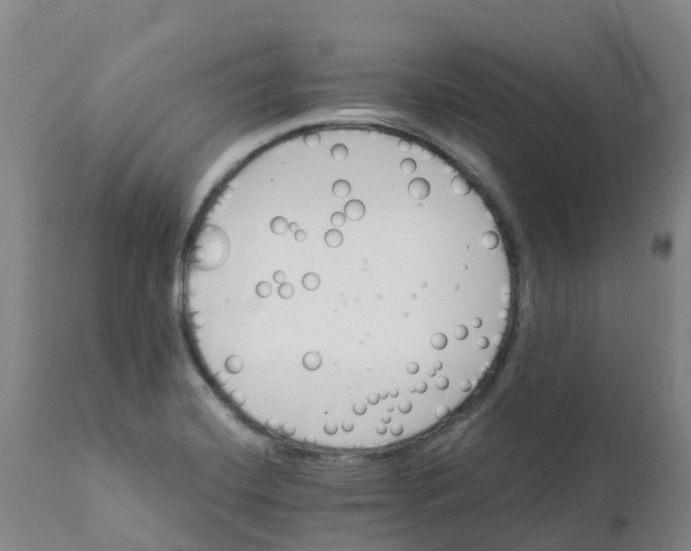 X0000111821420200908131512