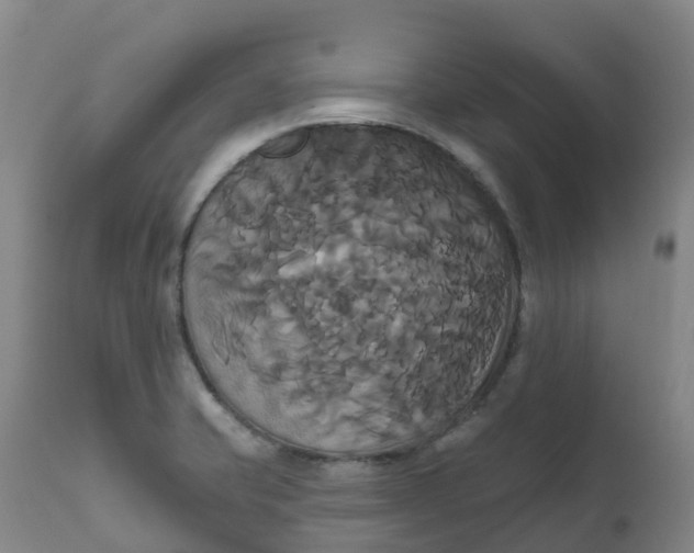 X0000111821421200908131512