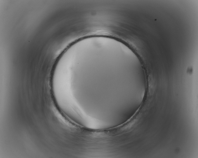 X0000111821422200908131512