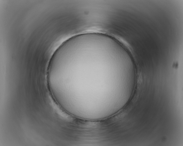 X0000111821423200908131512