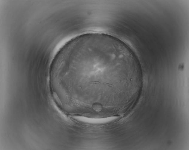 X0000111821424200908131512