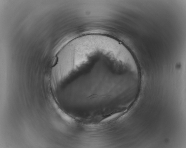 X0000111821425200908131512