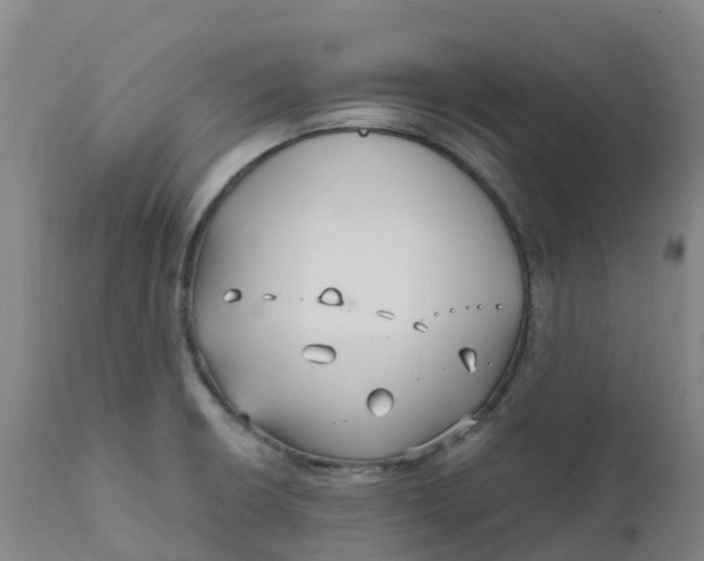 X0000111821426200908131512