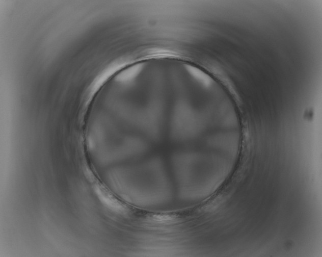 X0000111821427200908131512