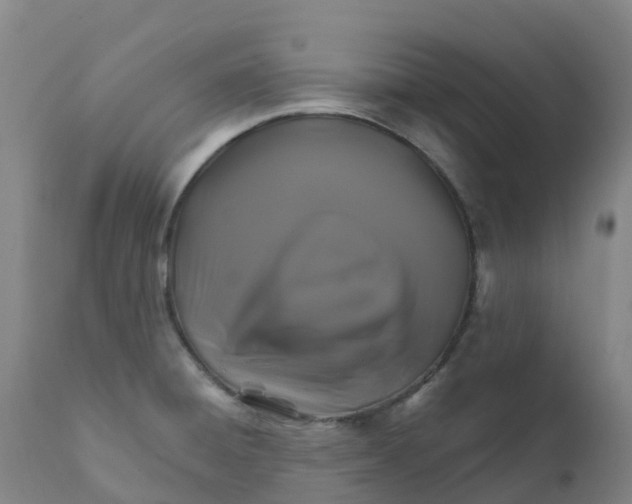 X0000111821428200908131512