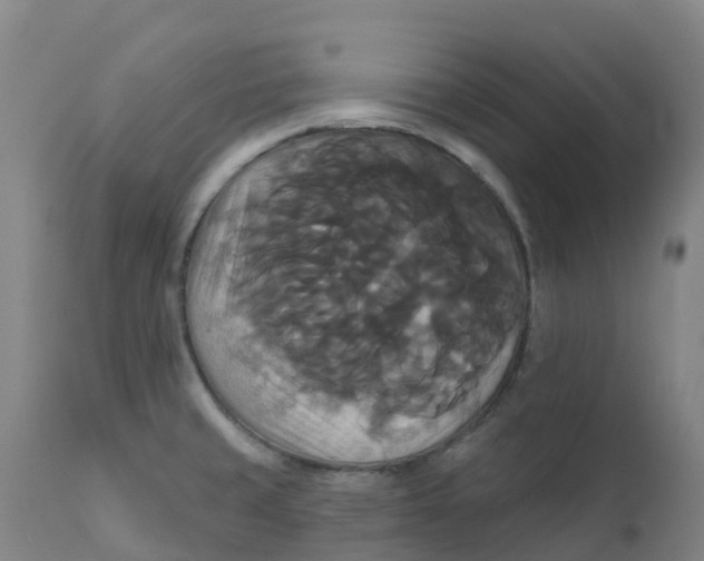 X0000111821429200908131512