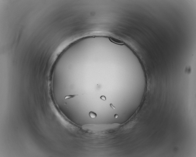 X0000111821430200908131512