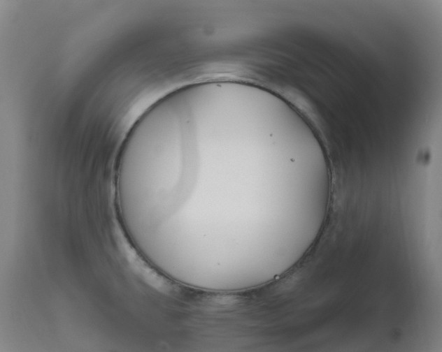 X0000111821431200908131512