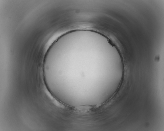 X0000111821432200908131512