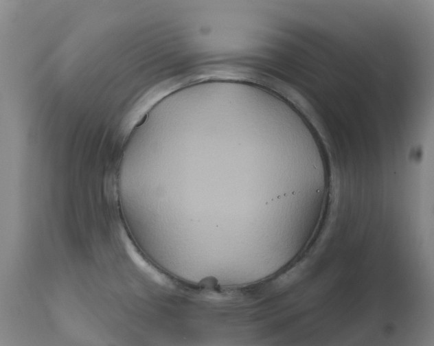 X0000111821433200908131512