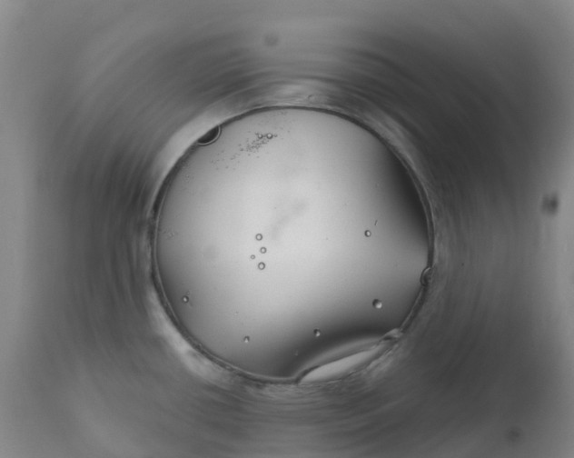 X0000111821434200908131512