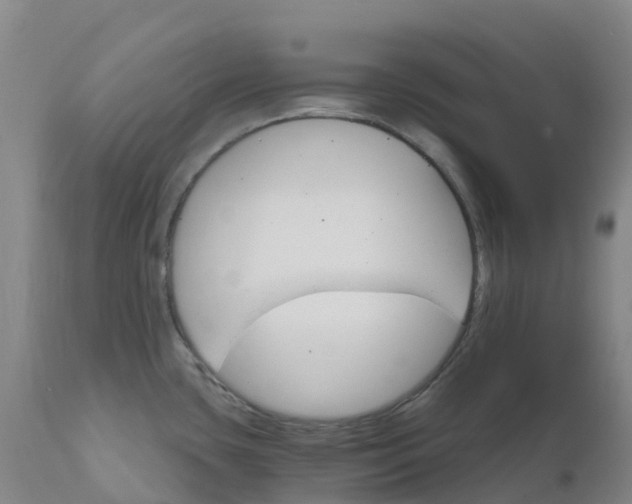 X0000111821435200908131512