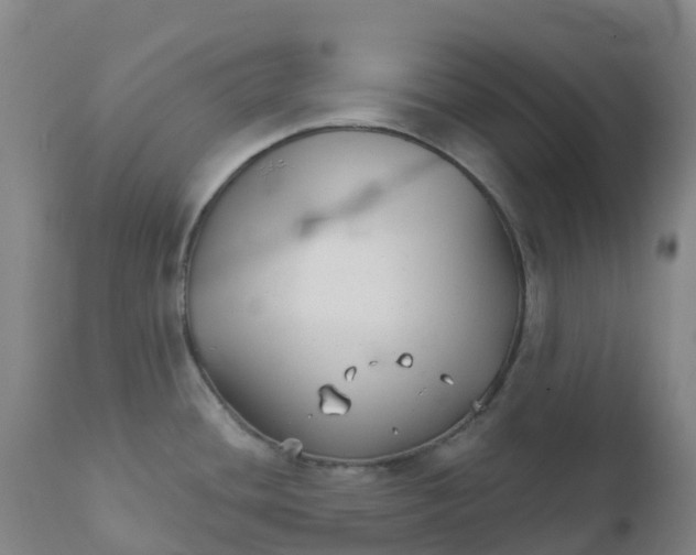 X0000111821436200908131512