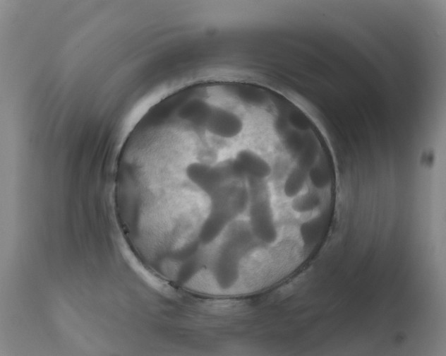 X0000111821437200908131512