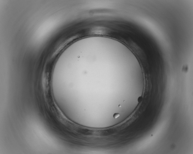 X0000111821438200908131512