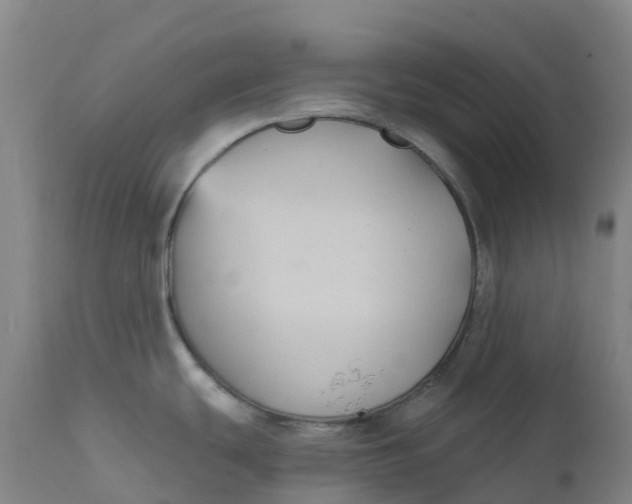 X0000111821439200908131512