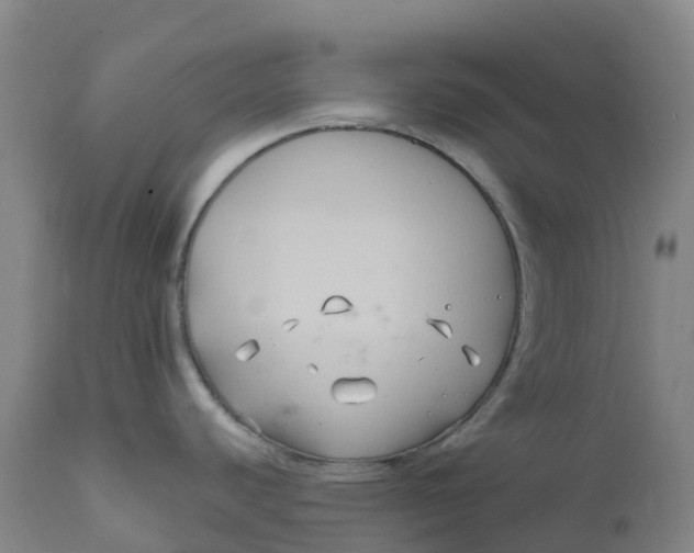 X0000111821440200908131512