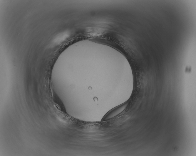 X0000111821441200908131511