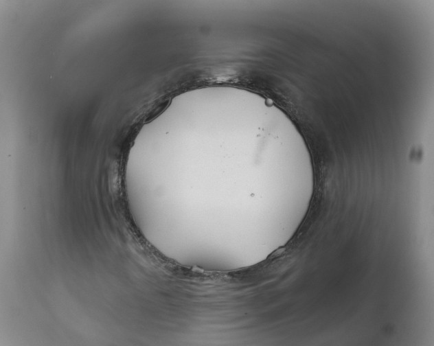 X0000111821442200908131511