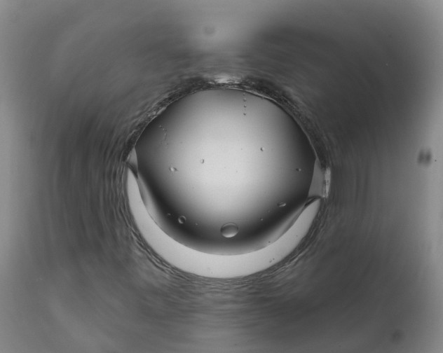 X0000111821443200908131511