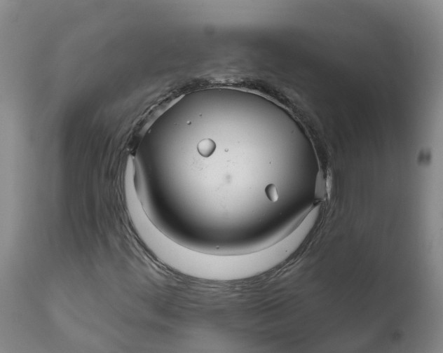 X0000111821444200908131511