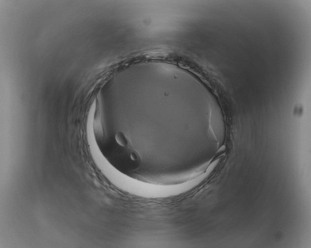 X0000111821445200908131511