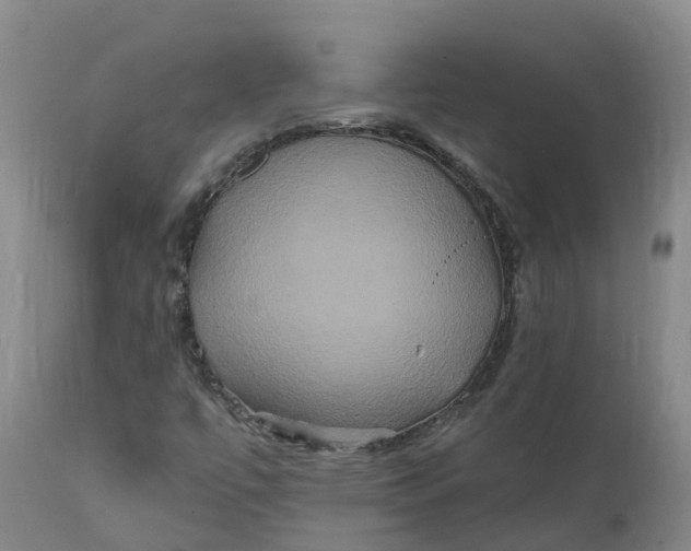 X0000111821447200908131511