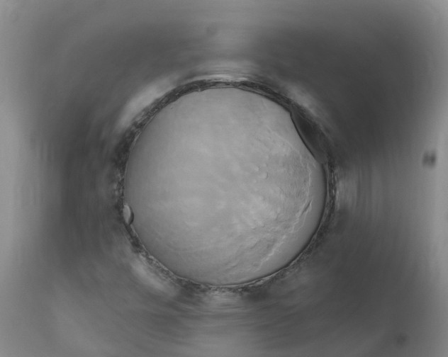 X0000111821448200908131511