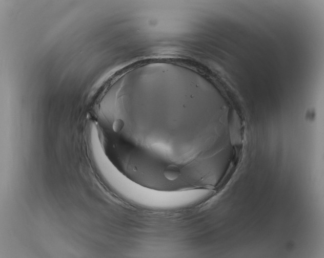 X0000111821449200908131511