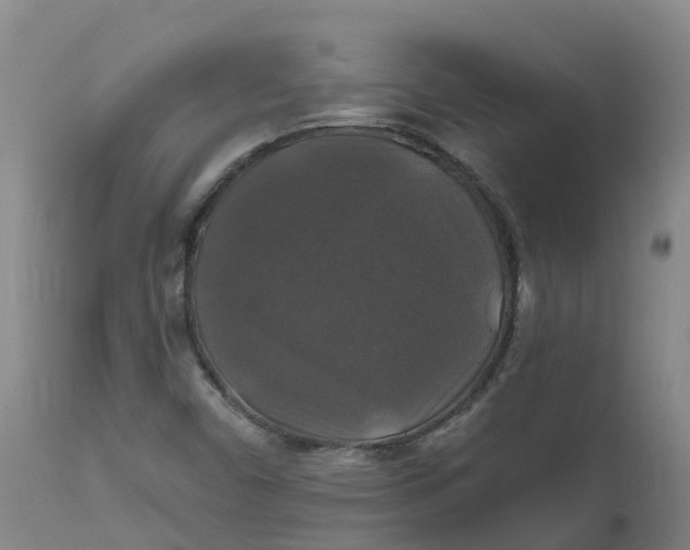 X0000111821450200908131511