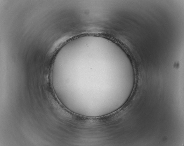 X0000111821451200908131511