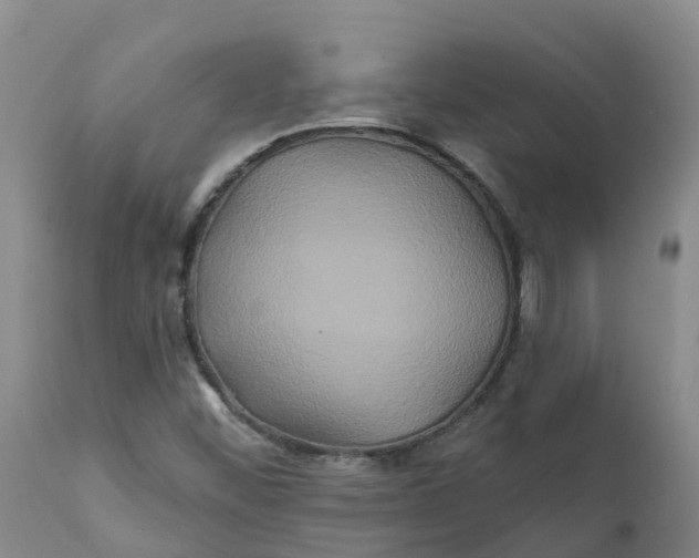 X0000111821452200908131511