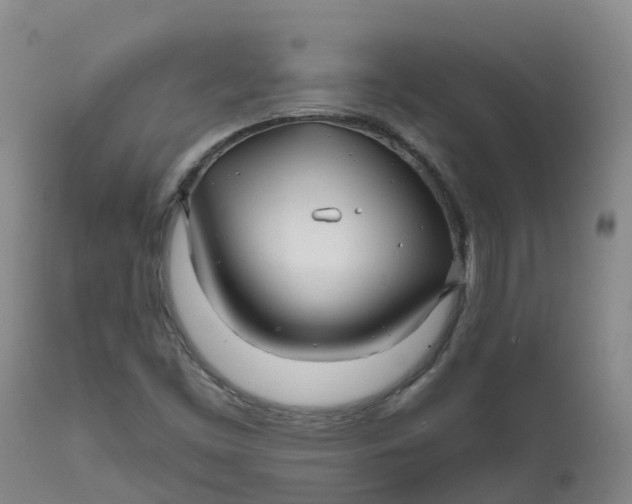 X0000111821453200908131511