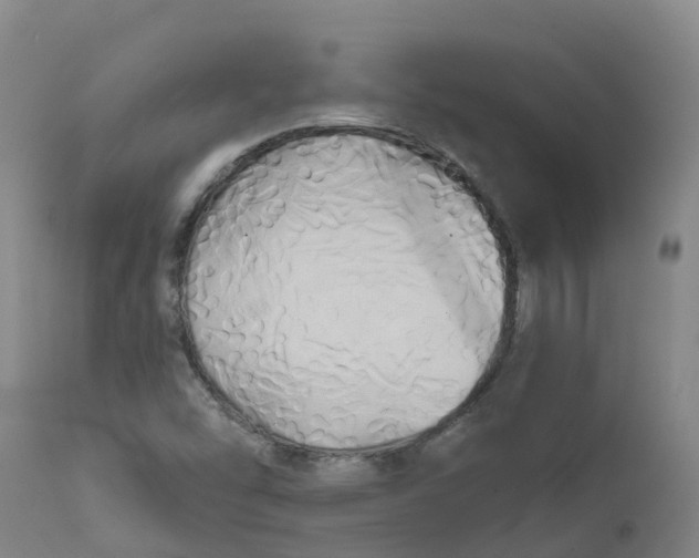 X0000111821454200908131511