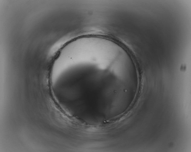 X0000111821455200908131511