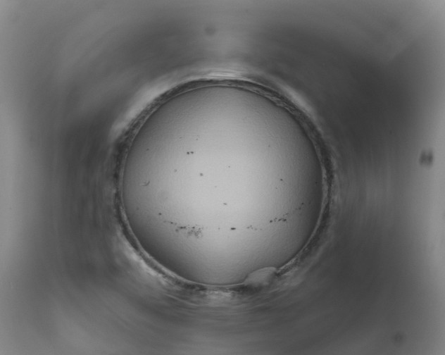 X0000111821456200908131511