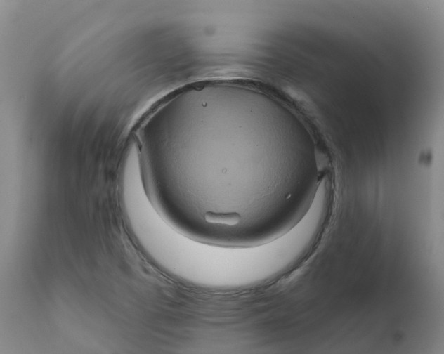 X0000111821457200908131511