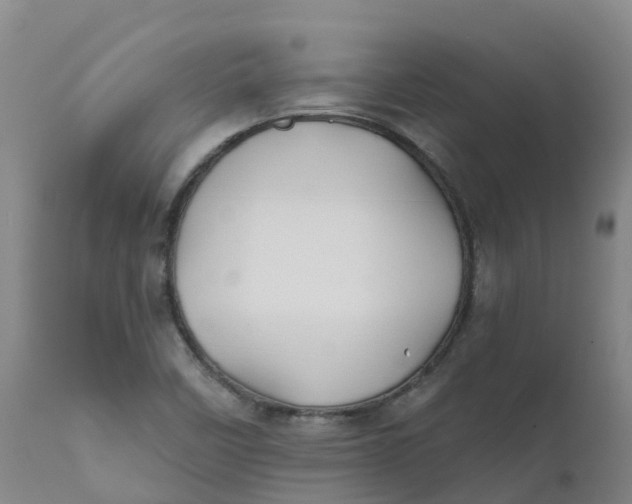 X0000111821458200908131511