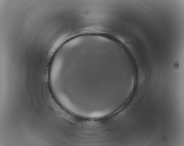 X0000111821459200908131511